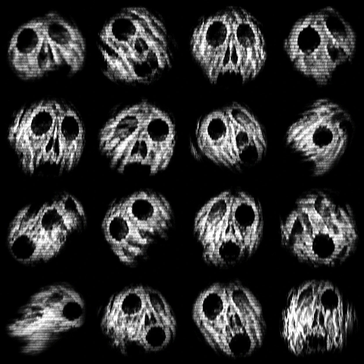 Skull atlas